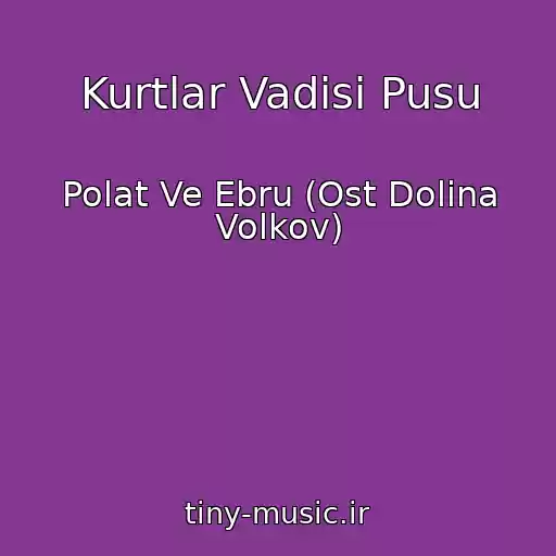 کاور آهنگ Kurtlar Vadisi Pusu از Polat Ve Ebru (Ost Dolina Volkov)