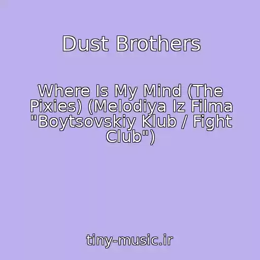 کاور آهنگ Dust Brothers از Where Is My Mind (The Pixies) (Melodiya Iz Filma "Boytsovskiy Klub / Fight Club")