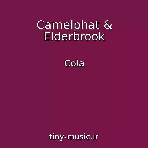 کاور آهنگ Camelphat & Elderbrook از Cola