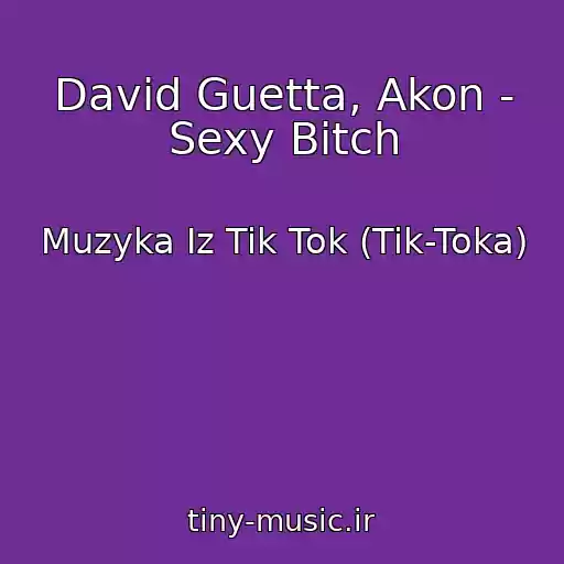 کاور آهنگ David Guetta, Akon - Sexy Bitch از Muzyka Iz Tik Tok (Tik-Toka)
