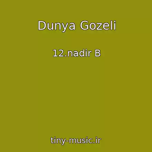 کاور آهنگ Dunya Gozeli از 12.nadir B