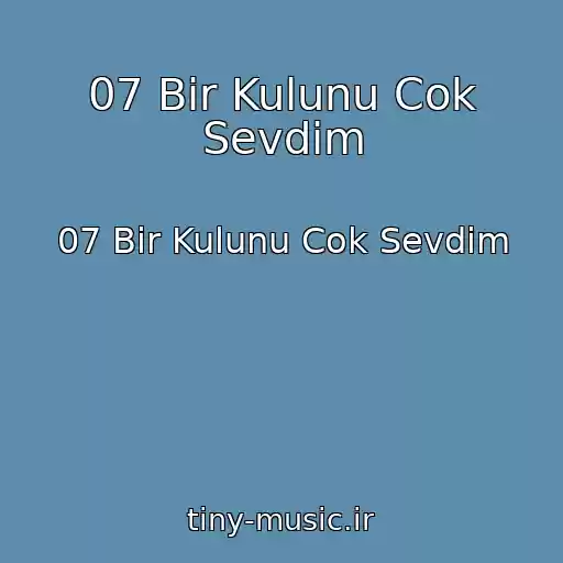 کاور آهنگ 07 Bir Kulunu Cok Sevdim از 07 Bir Kulunu Cok Sevdim