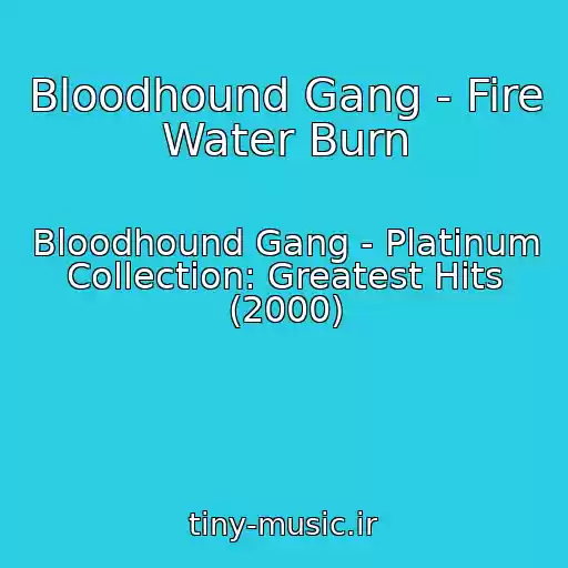 کاور آهنگ Bloodhound Gang - Fire Water Burn از Bloodhound Gang - Platinum Collection: Greatest Hits (2000)