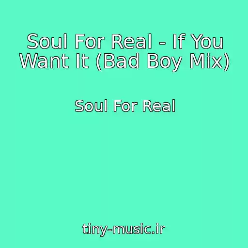 کاور آهنگ Soul For Real - If You Want It (Bad Boy Mix) از Soul For Real