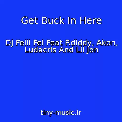 کاور آهنگ Get Buck In Here از Dj Felli Fel Feat P.diddy, Akon, Ludacris And Lil Jon
