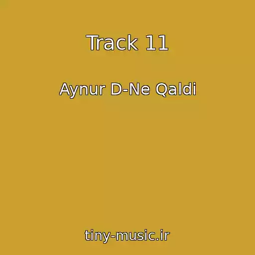 کاور آهنگ Track 11 از Aynur D-Ne Qaldi