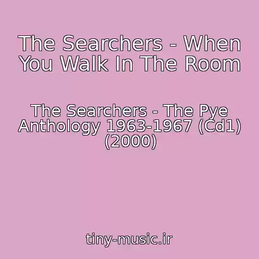 کاور آهنگ The Searchers - When You Walk In The Room از The Searchers - The Pye Anthology 1963-1967 (Cd1) (2000)