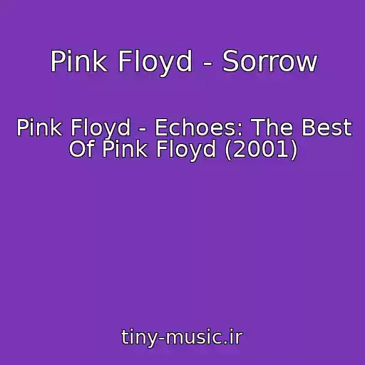 کاور آهنگ Pink Floyd - Sorrow از Pink Floyd - Echoes: The Best Of Pink Floyd (2001)