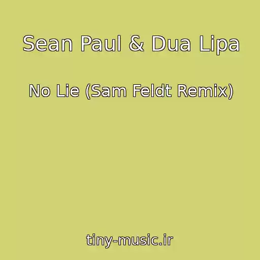 کاور آهنگ Sean Paul & Dua Lipa از No Lie (Sam Feldt Remix)