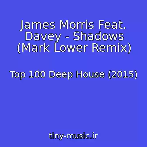 کاور آهنگ James Morris Feat. Davey - Shadows (Mark Lower Remix) از Top 100 Deep House (2015)