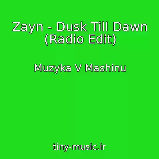 کاور آهنگ Zayn - Dusk Till Dawn (Radio Edit) از Muzyka V Mashinu