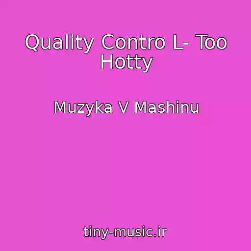 کاور آهنگ Quality Contro L- Too Hotty از Muzyka V Mashinu