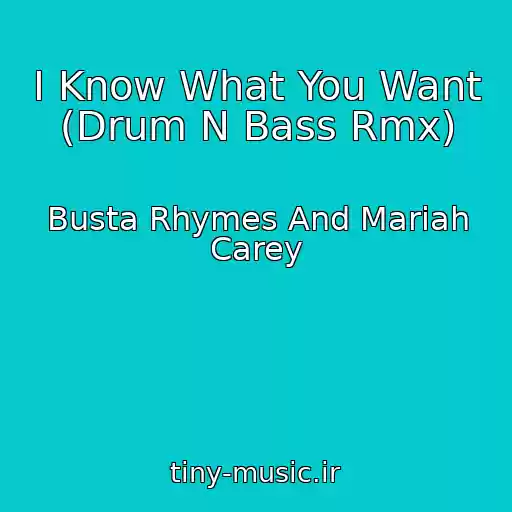 کاور آهنگ I Know What You Want (Drum N Bass Rmx) از Busta Rhymes And Mariah Carey