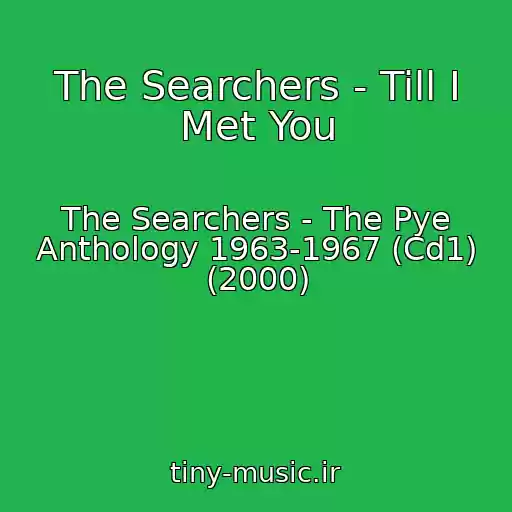 کاور آهنگ The Searchers - Till I Met You از The Searchers - The Pye Anthology 1963-1967 (Cd1) (2000)