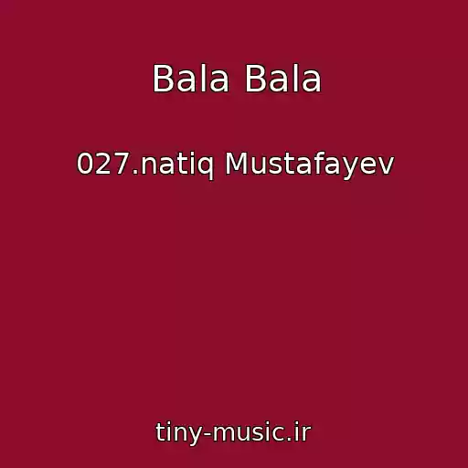 کاور آهنگ Bala Bala از 027.natiq Mustafayev