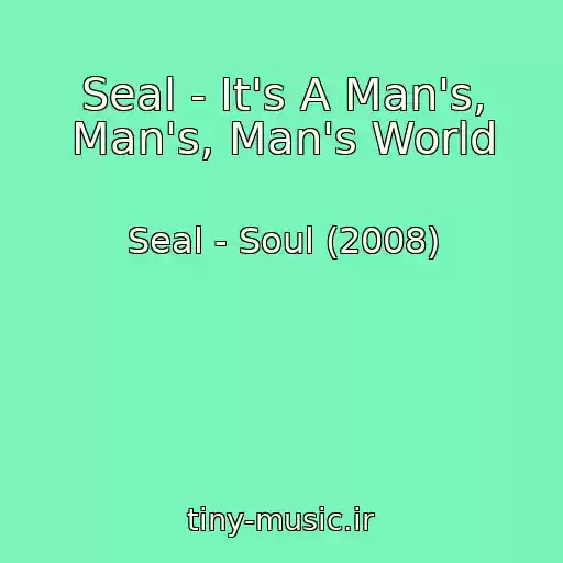 کاور آهنگ Seal - It's A Man's, Man's, Man's World از Seal - Soul (2008)