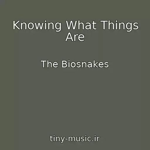 کاور آهنگ Knowing What Things Are از The Biosnakes
