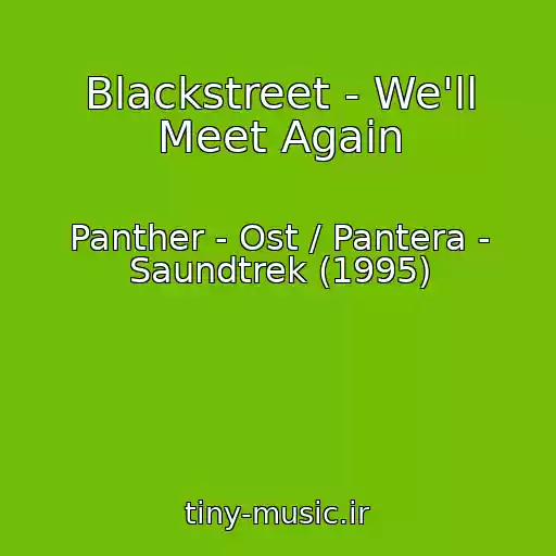 کاور آهنگ Blackstreet - We'll Meet Again از Panther - Ost / Pantera - Saundtrek (1995)