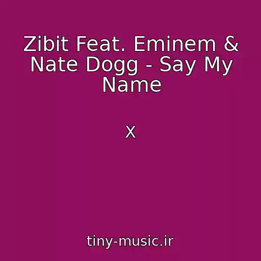 کاور آهنگ Zibit Feat. Eminem & Nate Dogg - Say My Name از X