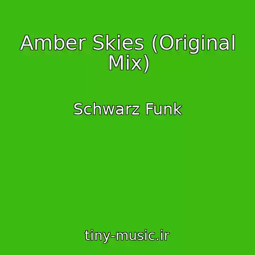 کاور آهنگ Amber Skies (Original Mix) از Schwarz Funk