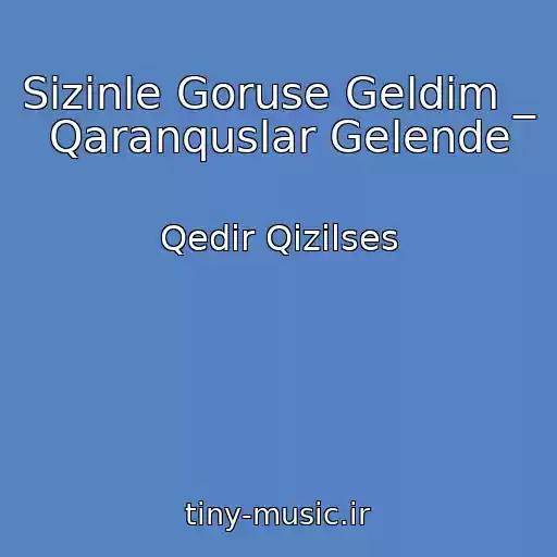 کاور آهنگ Sizinle Goruse Geldim _ Qaranquslar Gelende از Qedir Qizilses