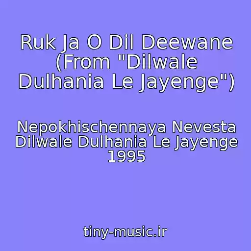 کاور آهنگ Ruk Ja O Dil Deewane (From "Dilwale Dulhania Le Jayenge") از Nepokhischennaya Nevesta Dilwale Dulhania Le Jayenge 1995