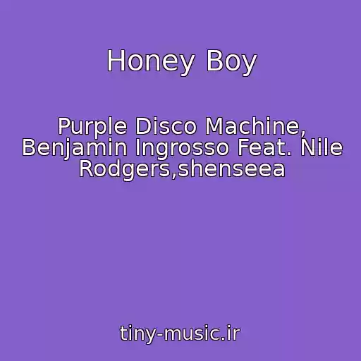 کاور آهنگ Honey Boy از Purple Disco Machine, Benjamin Ingrosso Feat. Nile Rodgers,shenseea