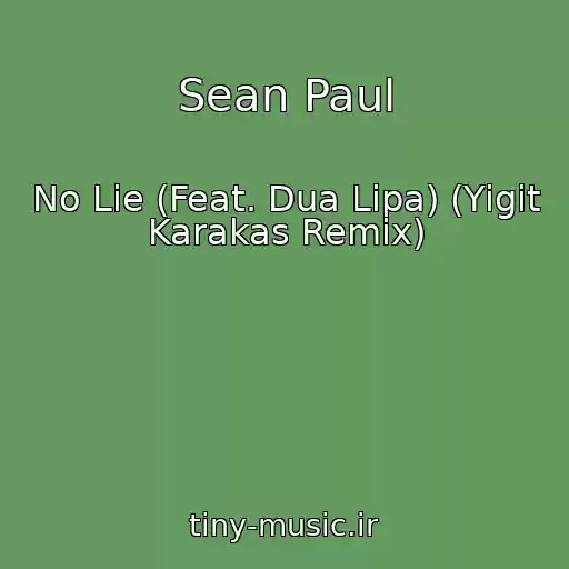 کاور آهنگ Sean Paul از No Lie (Feat. Dua Lipa) (Yigit Karakas Remix)