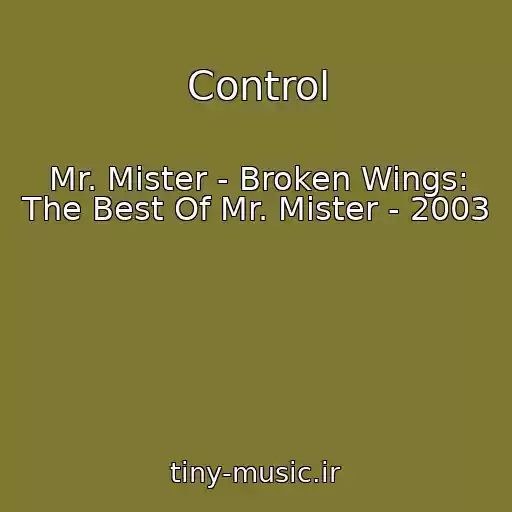 کاور آهنگ Control از Mr. Mister - Broken Wings: The Best Of Mr. Mister - 2003