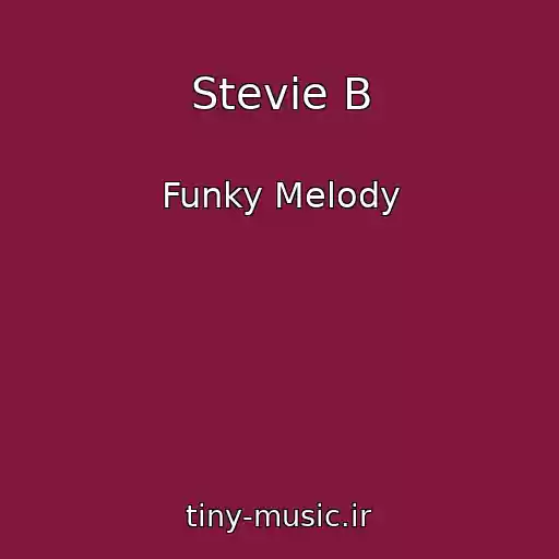 کاور آهنگ Stevie B از Funky Melody