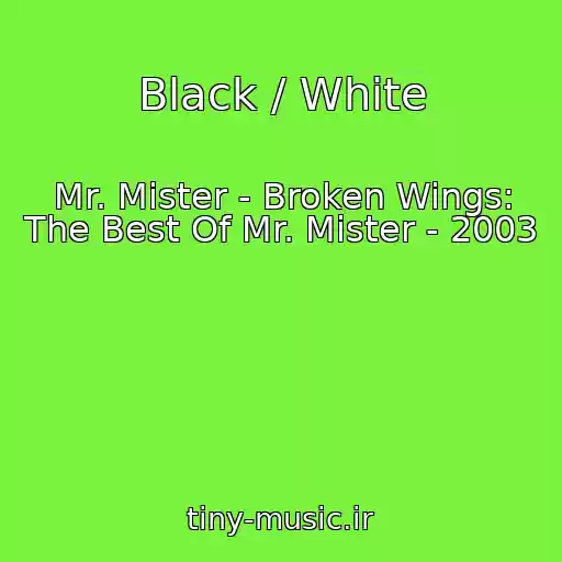 کاور آهنگ Black / White از Mr. Mister - Broken Wings: The Best Of Mr. Mister - 2003