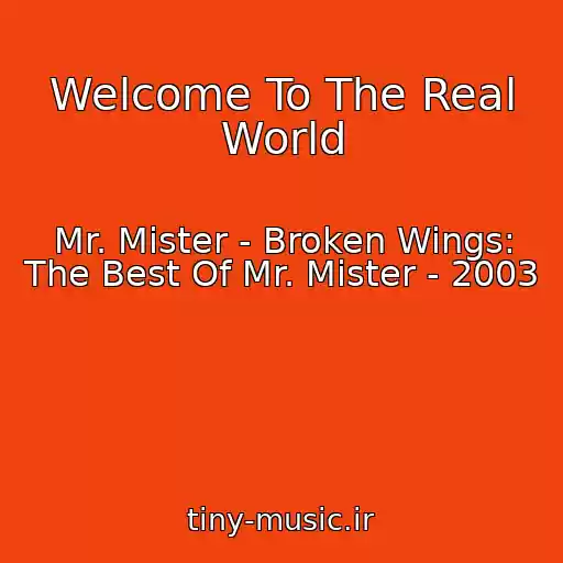کاور آهنگ Welcome To The Real World از Mr. Mister - Broken Wings: The Best Of Mr. Mister - 2003