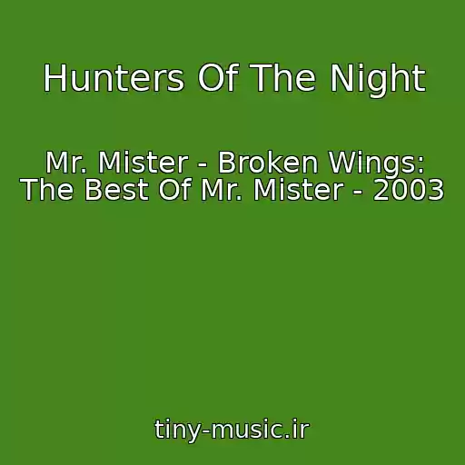 کاور آهنگ Hunters Of The Night از Mr. Mister - Broken Wings: The Best Of Mr. Mister - 2003