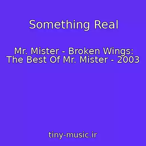 کاور آهنگ Something Real از Mr. Mister - Broken Wings: The Best Of Mr. Mister - 2003