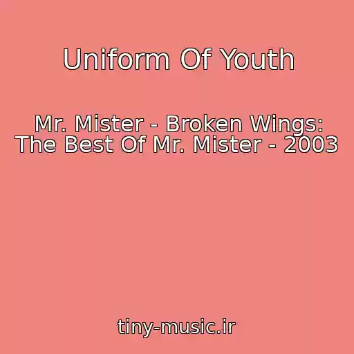 کاور آهنگ Uniform Of Youth از Mr. Mister - Broken Wings: The Best Of Mr. Mister - 2003