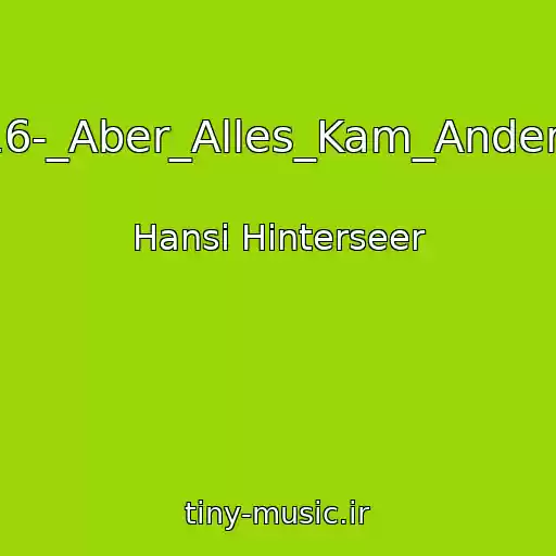 کاور آهنگ 16-_Aber_Alles_Kam_Anders از Hansi Hinterseer