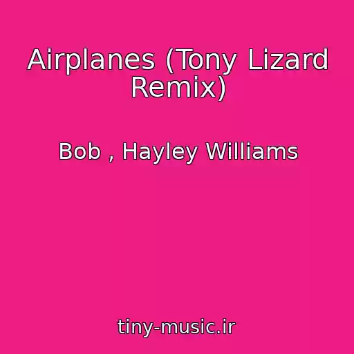 کاور آهنگ Airplanes (Tony Lizard Remix) از Bob , Hayley Williams