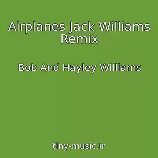 کاور آهنگ Airplanes Jack Williams Remix از Bob And Hayley Williams