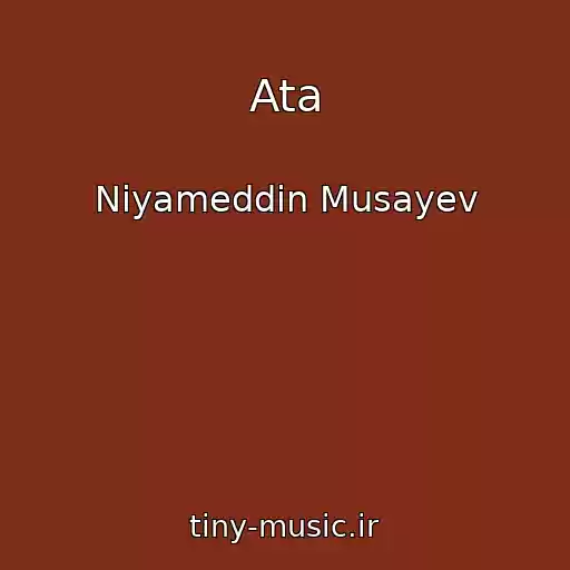 کاور آهنگ Ata از Niyameddin Musayev