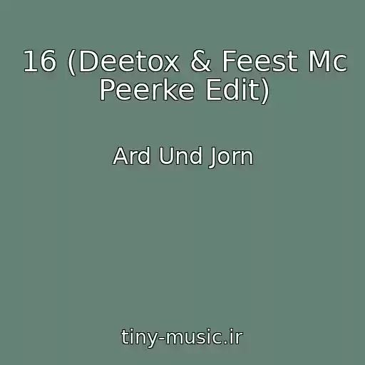 کاور آهنگ 16 (Deetox & Feest Mc Peerke Edit) از Ard Und Jorn