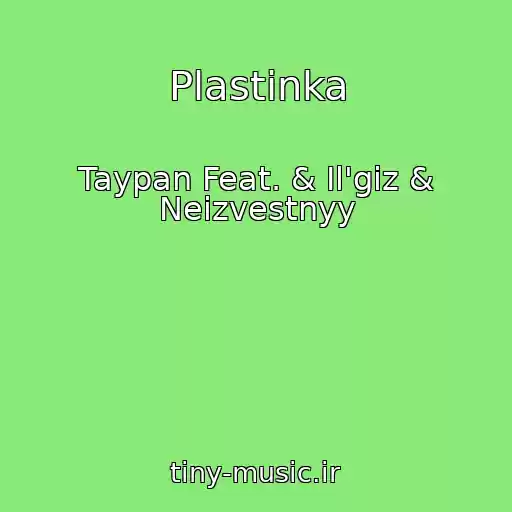 کاور آهنگ Plastinka از Taypan Feat. & Il'giz & Neizvestnyy