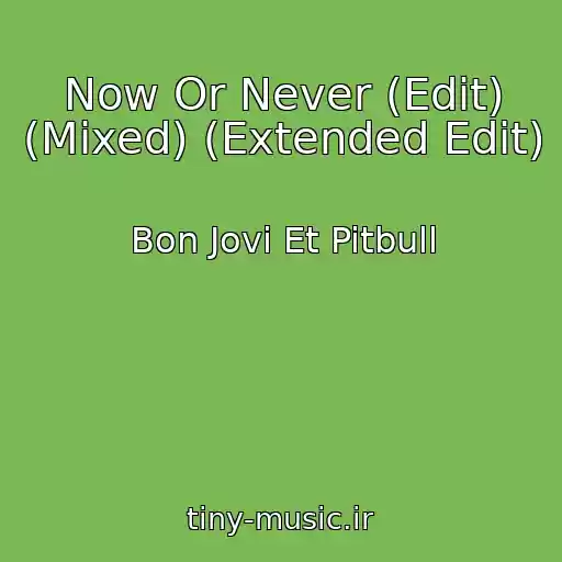 کاور آهنگ Now Or Never (Edit) (Mixed) (Extended Edit) از Bon Jovi Et Pitbull
