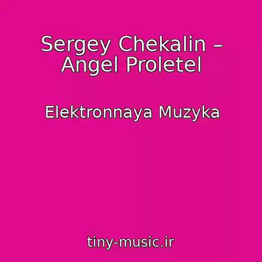 کاور آهنگ Sergey Chekalin – Angel Proletel از Elektronnaya Muzyka
