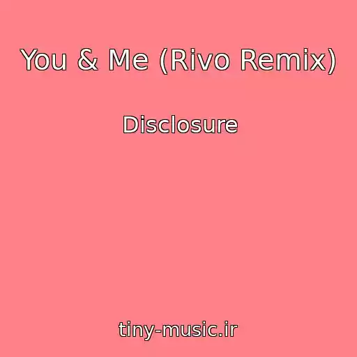 کاور آهنگ You & Me (Rivo Remix) از Disclosure