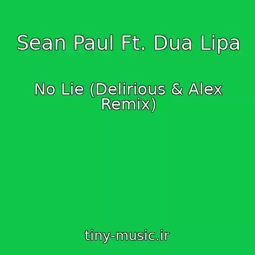 کاور آهنگ Sean Paul Ft. Dua Lipa از No Lie (Delirious & Alex Remix)
