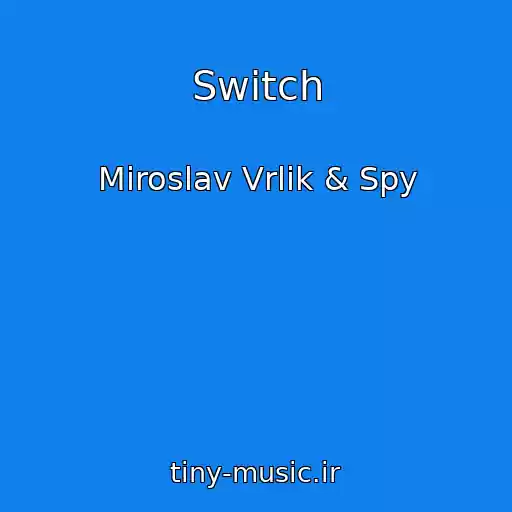 کاور آهنگ Switch از Miroslav Vrlik & Spy