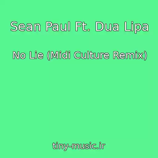کاور آهنگ Sean Paul Ft. Dua Lipa از No Lie (Midi Culture Remix)