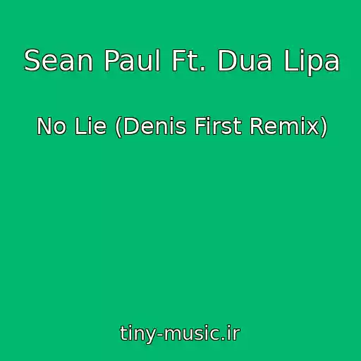 کاور آهنگ Sean Paul Ft. Dua Lipa از No Lie (Denis First Remix)