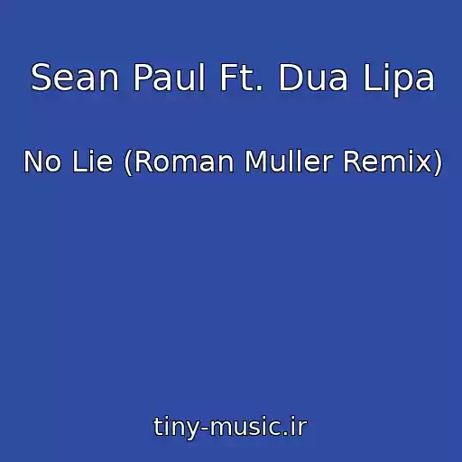 کاور آهنگ Sean Paul Ft. Dua Lipa از No Lie (Roman Muller Remix)