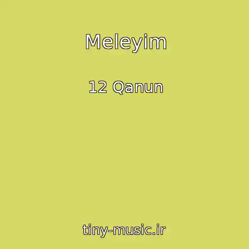کاور آهنگ Meleyim از 12 Qanun
